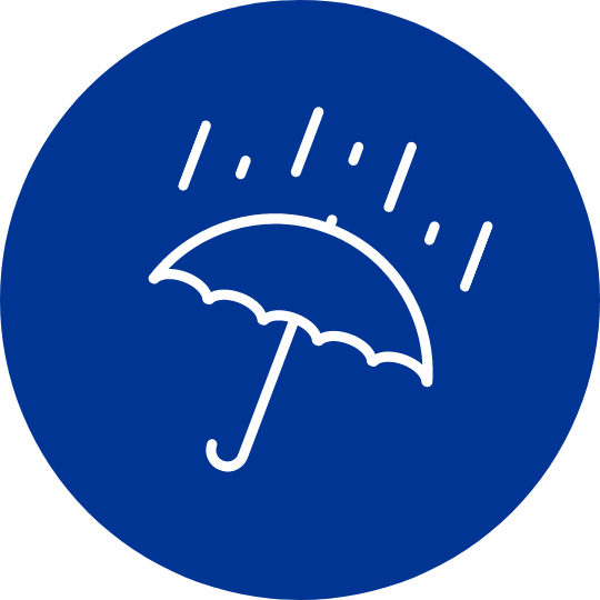 Umbrella Icon