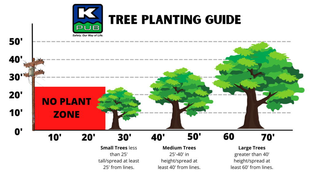 Tree Planting Guide Graphic