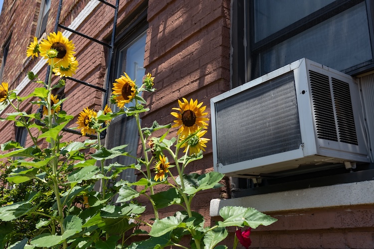 Window Unit Replacement: